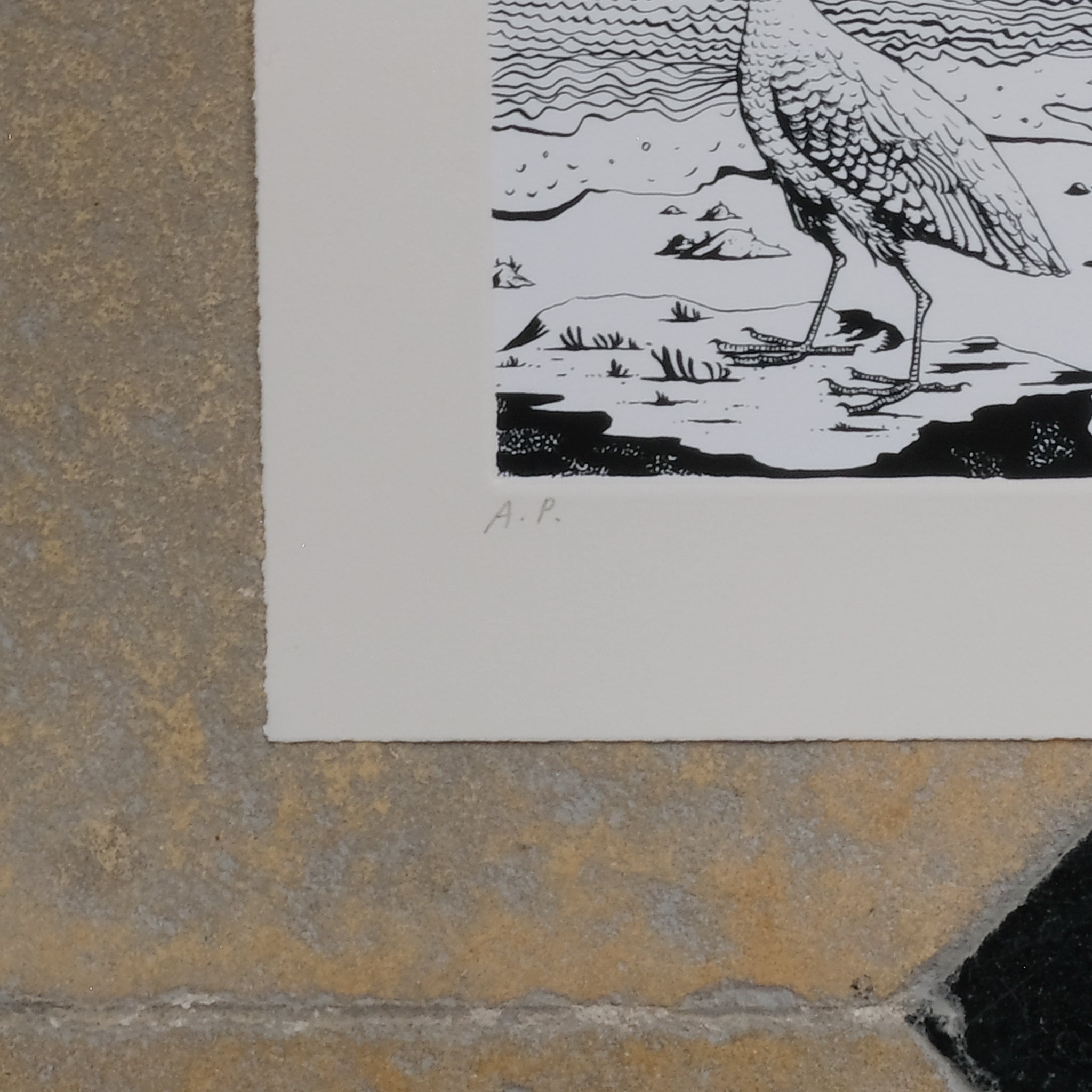 Artist Proof Limited Edition Le Gun Vintage Print, Signed and Dated in Pencil - THE TRAGIC DEMISE OF THE WHITE GUILLINULE. By Summerfield & Scott
