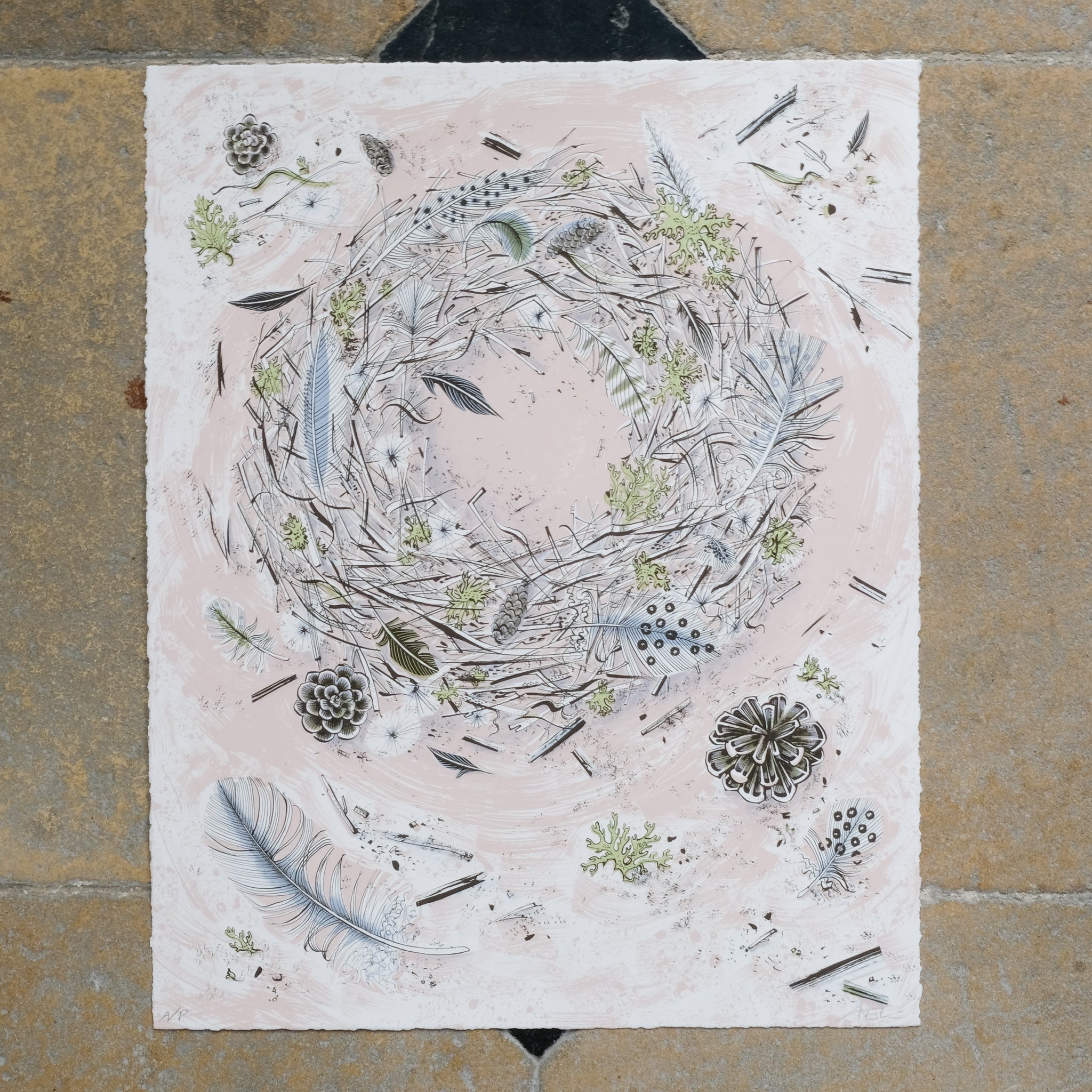 ANGIE LEWIN - OSCAR'S NEST Vintage Print - Signed in Pencil - by Summerfield & Scott