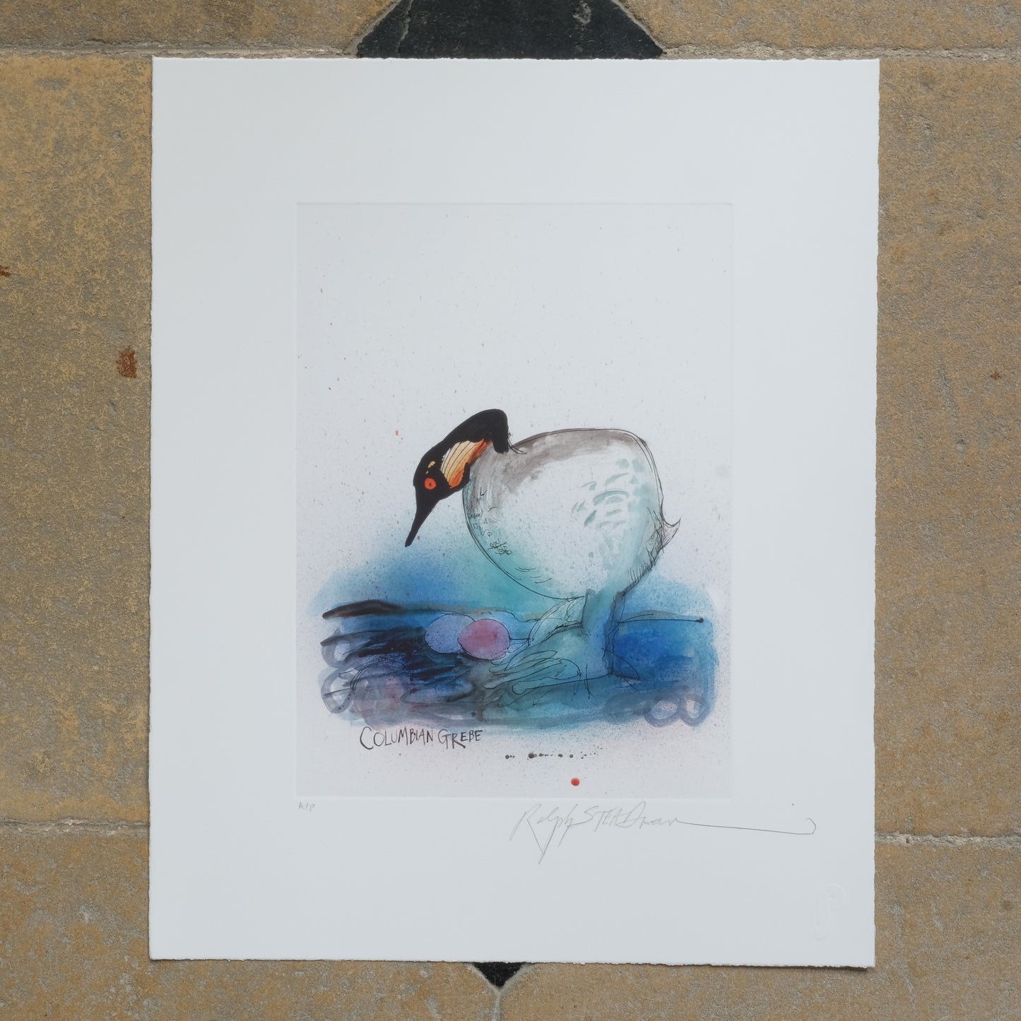 Ralph Steadman Vintage Printed - COLUMBIAN GREBE, Signed. Summerfield & Scott