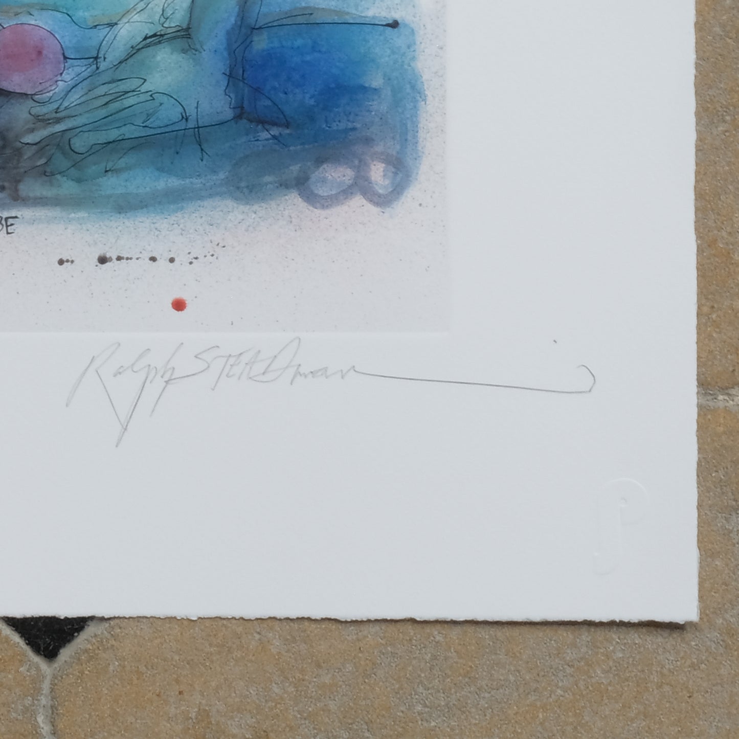 Signature on Ralph Steadman Vintage Print - COLUMBIAN GREBE, Signed. Summerfield & Scott