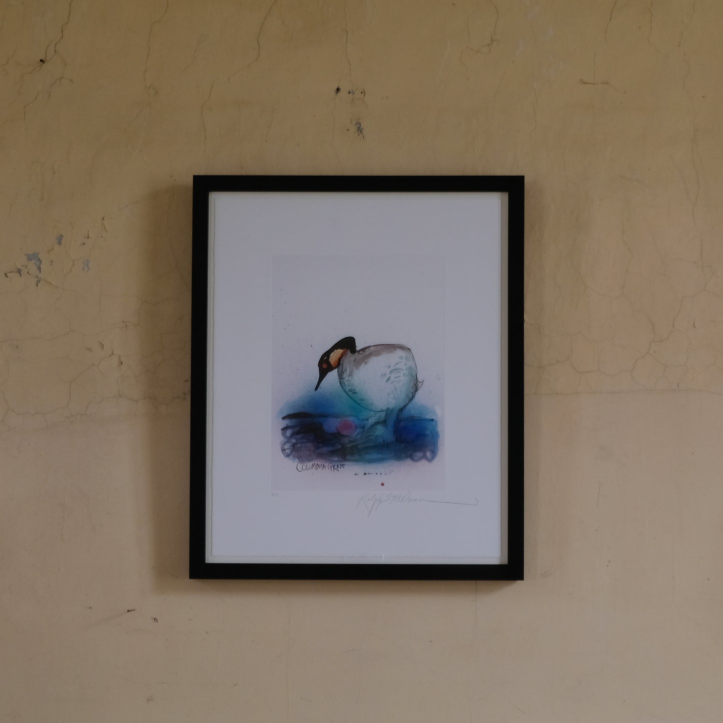 Ralph Steadman Vintage Print - COLUMBIAN GREBE, Signed. Summerfield & Scott