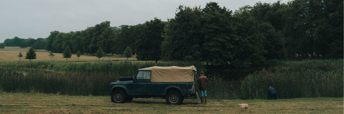 A Tale of Rushes, Rivers and Revival