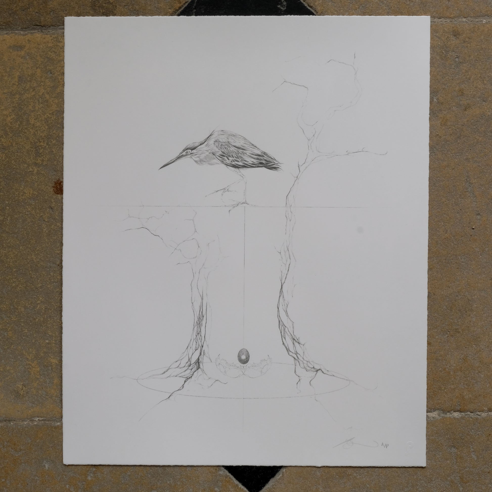 Jessica Albarn Limited Edition Vintage Print - THE REUNION NIGHT HERON. Summerfield & Scott