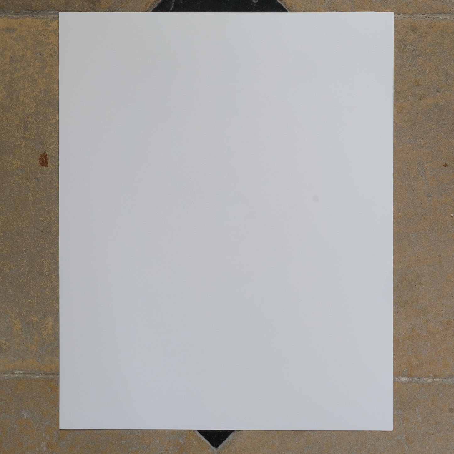 Back of print - Adam Bridgland Vintage Print - I've Been Sorry For A While -Signed & Dated. By Summerfield & Scott 