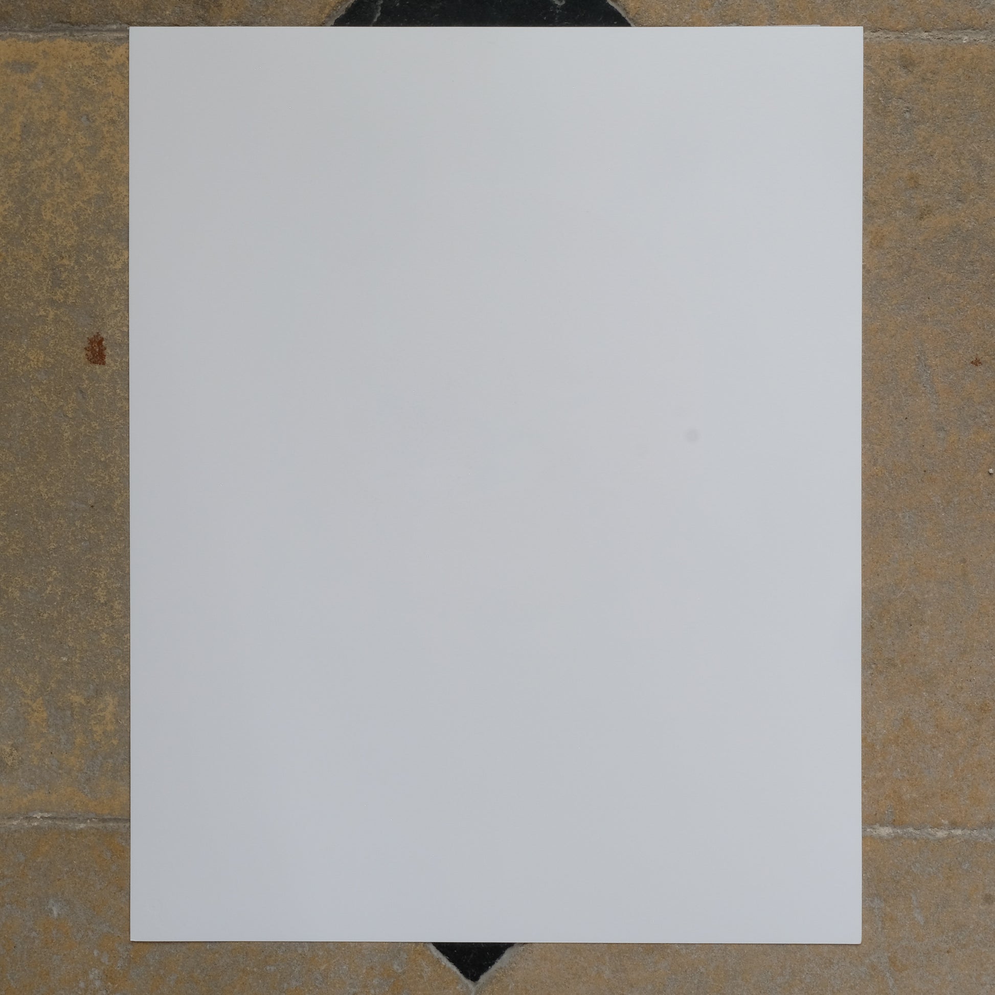 Back of print - Adam Bridgland Vintage Print - I've Been Sorry For A While -Signed & Dated. By Summerfield & Scott 