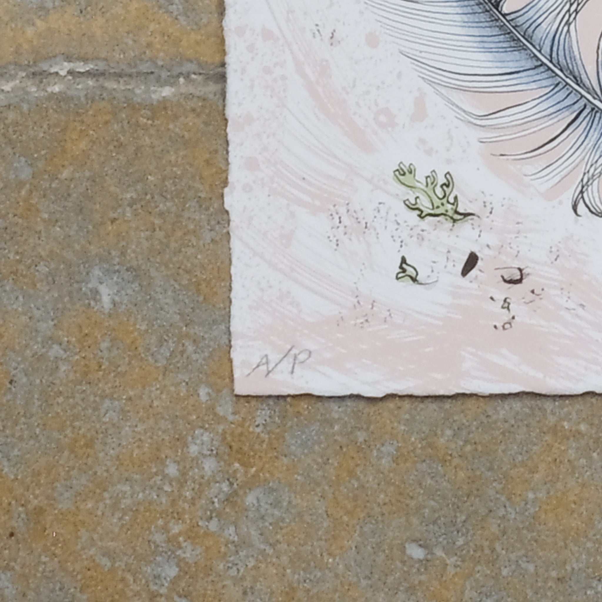 Initials on ANGIE LEWIN - OSCAR'S NEST Vintage Print - Signed in Pencil - by Summerfield & Scott