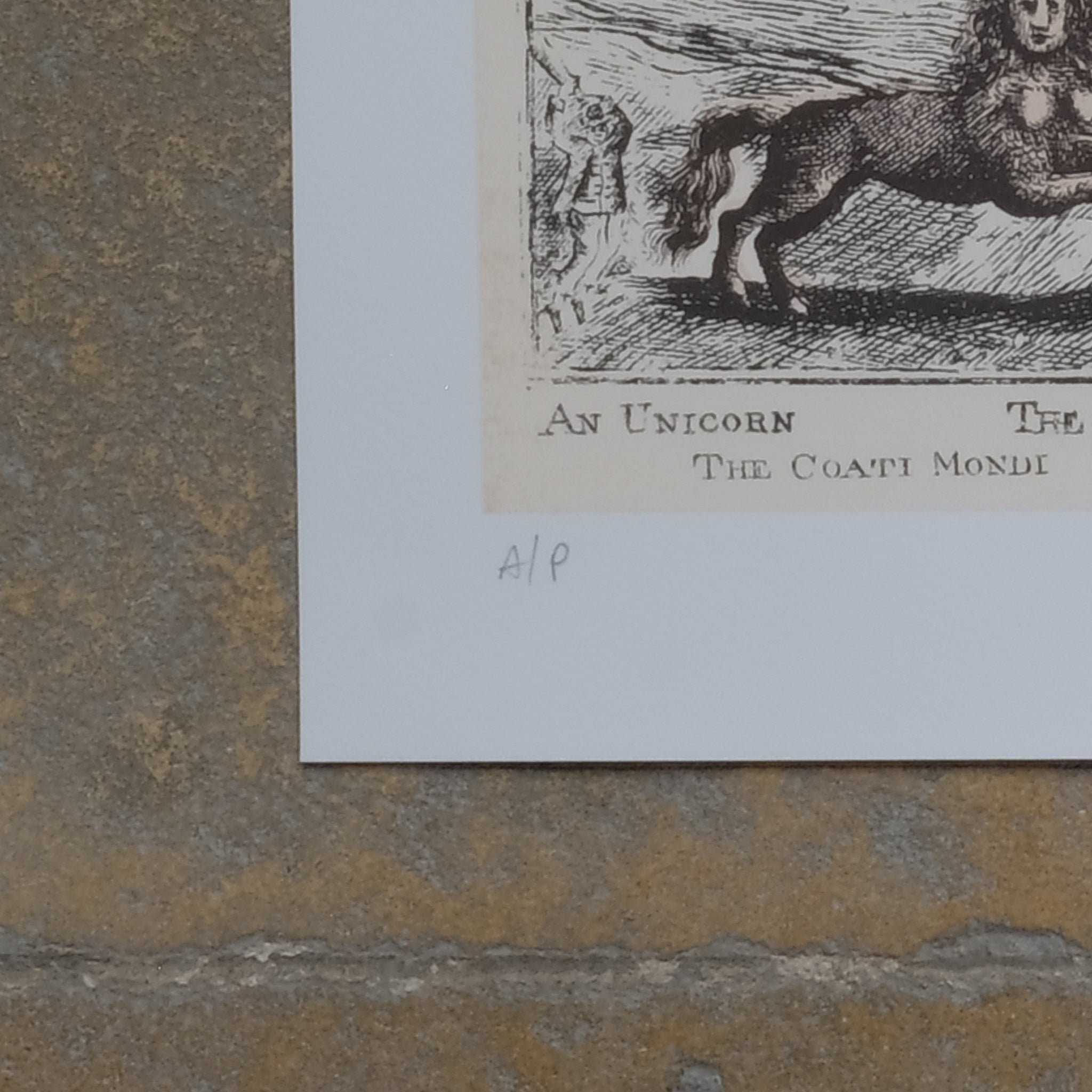 PURE EVIL - THE GREAT ANIMAL HUNT