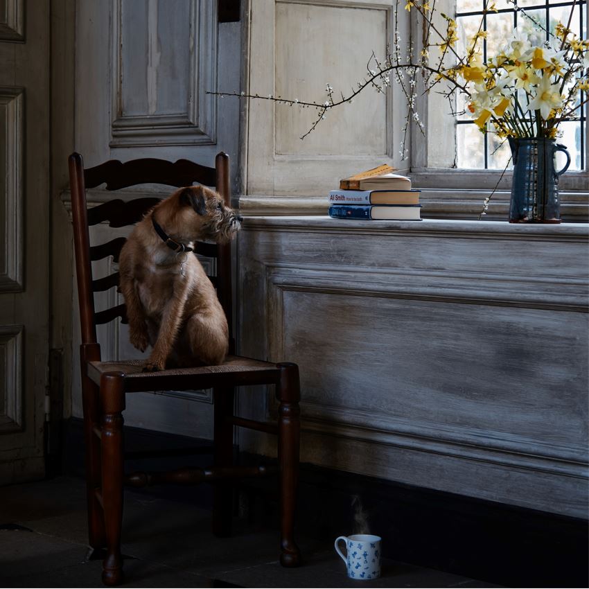 A PAIR OF OAK LADDER BACK CHAIRS