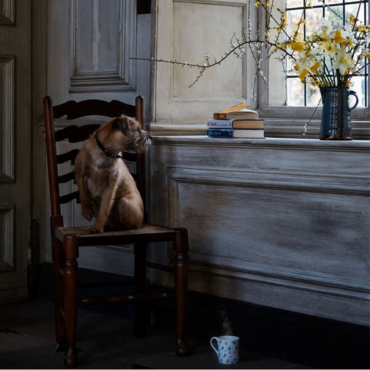 A PAIR OF OAK LADDER BACK CHAIRS
